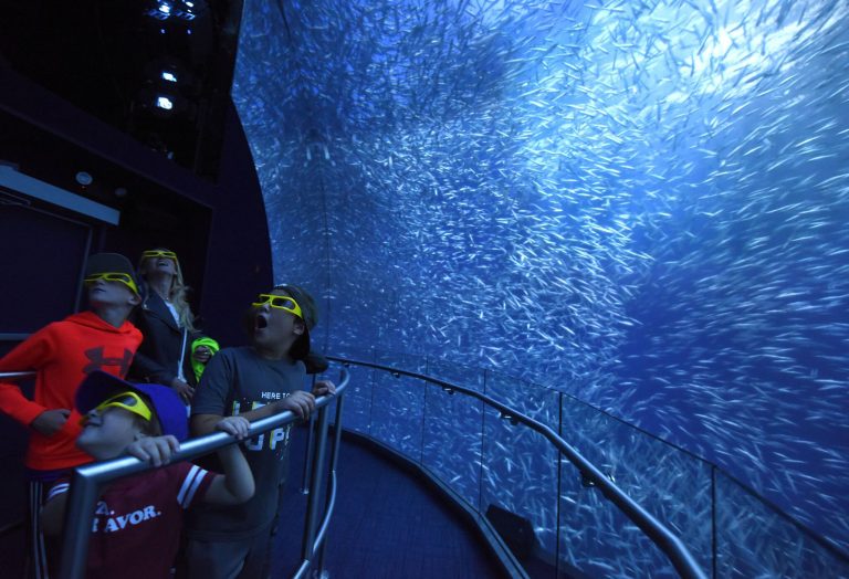 Large digital aquarium within National Geographic Encounter: Ocean Odyssey